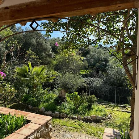 Villa La Fontana Cortes de la Frontera Exterior foto