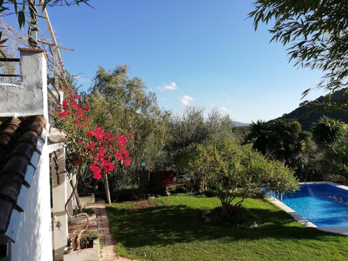 Villa La Fontana Cortes de la Frontera Exterior foto