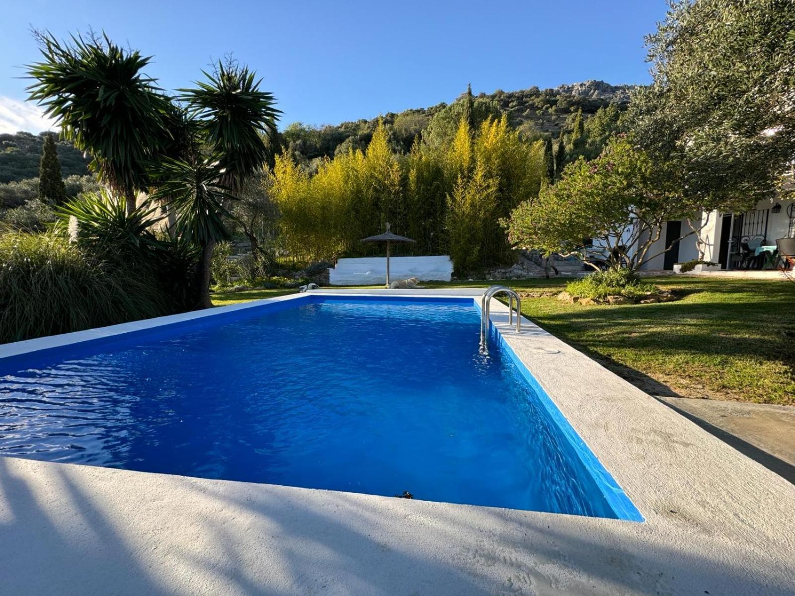 Villa La Fontana Cortes de la Frontera Exterior foto