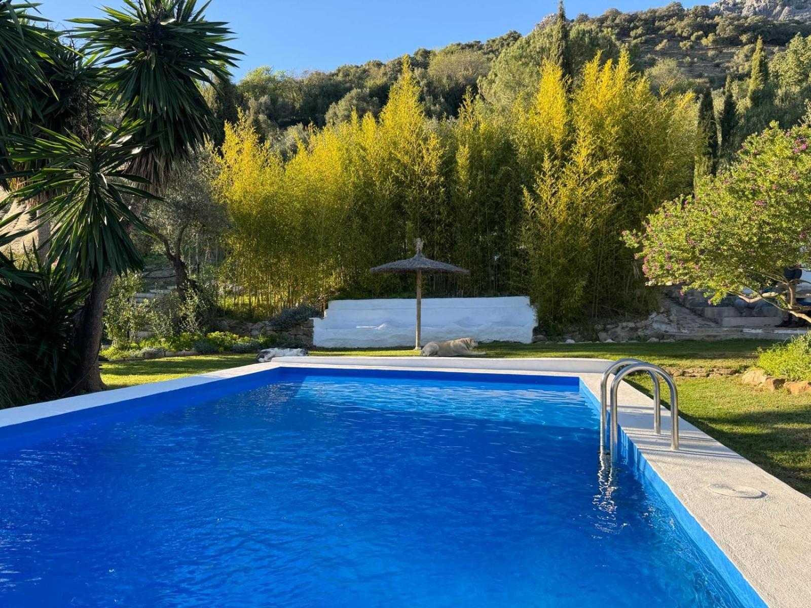 Villa La Fontana Cortes de la Frontera Exterior foto