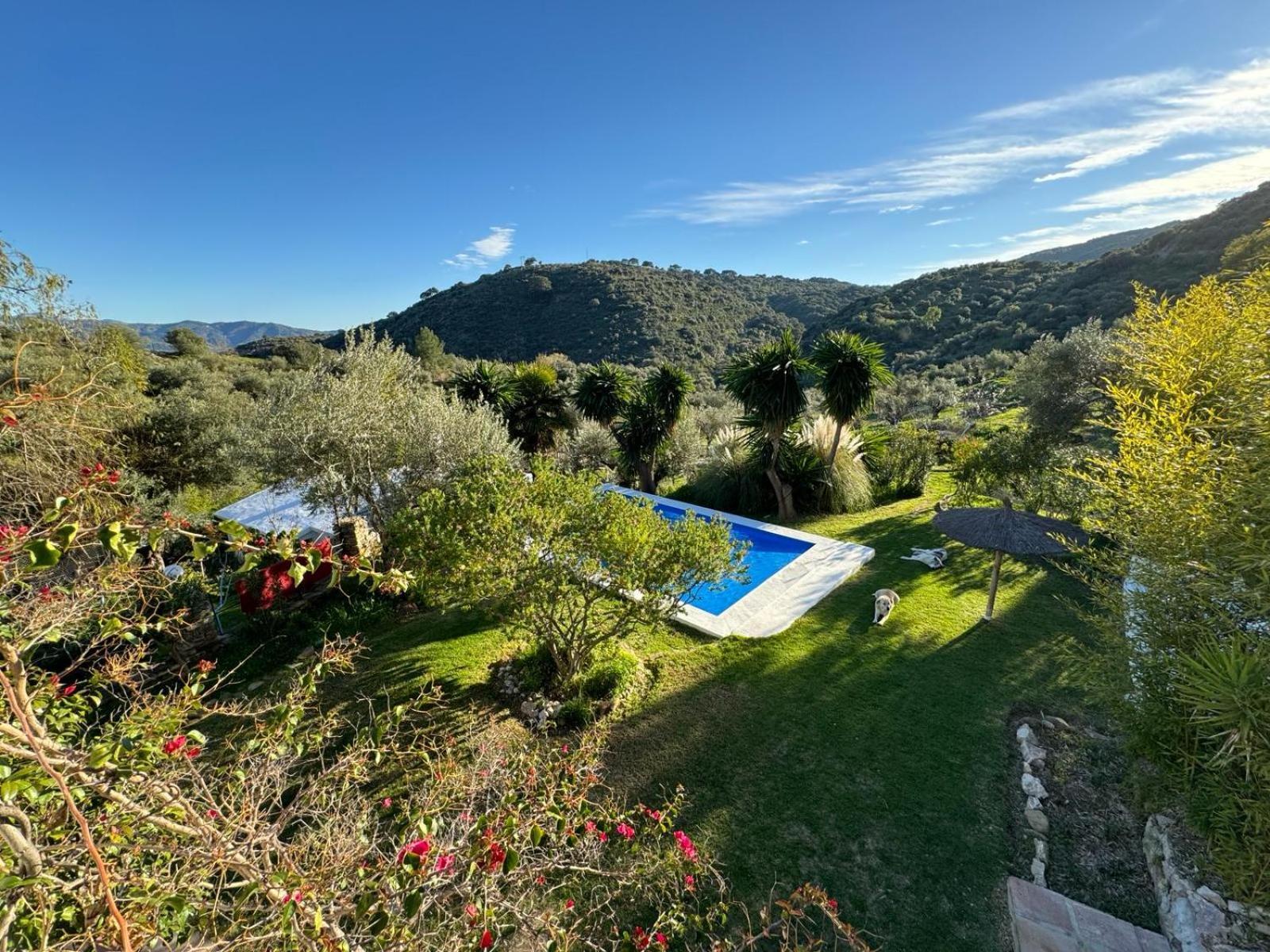 Villa La Fontana Cortes de la Frontera Exterior foto