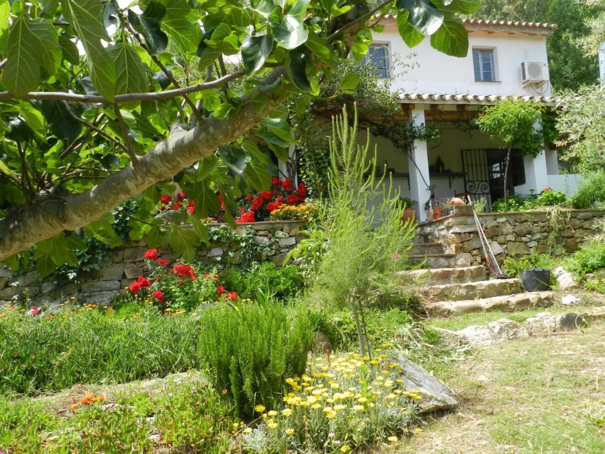 Villa La Fontana Cortes de la Frontera Exterior foto