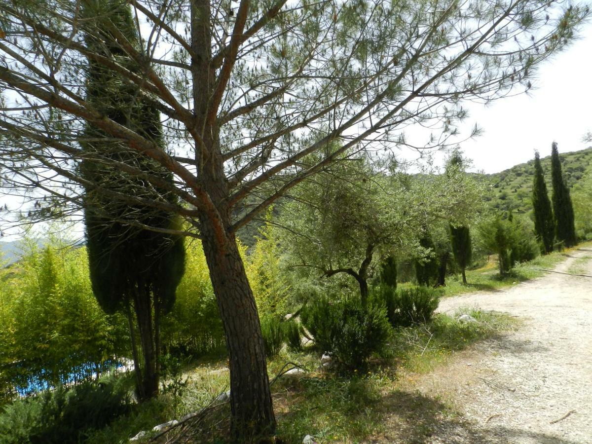 Villa La Fontana Cortes de la Frontera Exterior foto