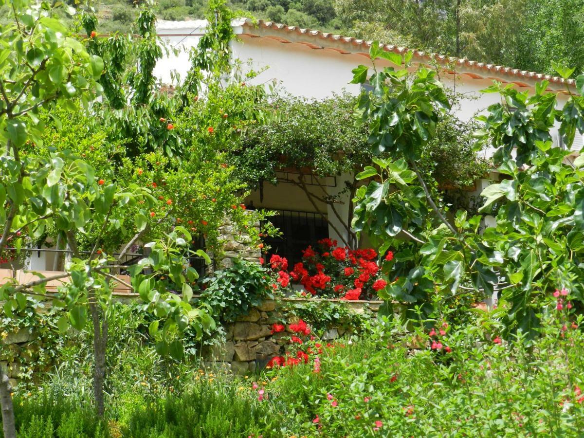 Villa La Fontana Cortes de la Frontera Exterior foto